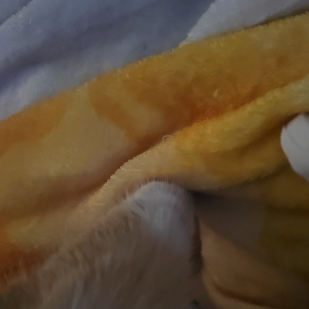 This is for kitty